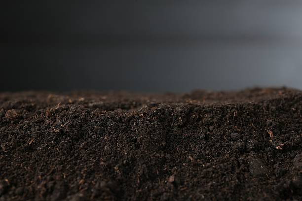 Pile of fresh soil against blurred background, closeup