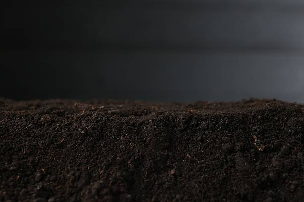 Pile of fresh soil against blurred background, closeup
