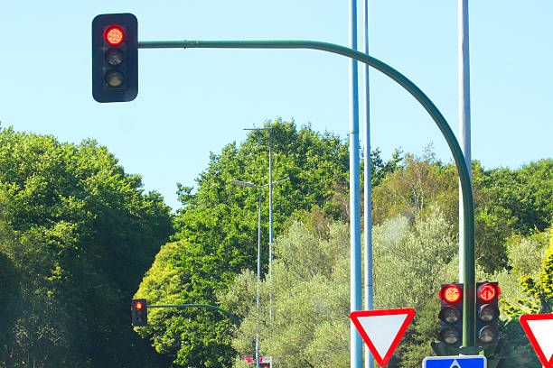 istock Red traffic lights, green tree leaves in the background. 2253229110