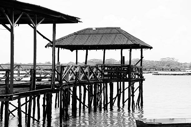 A visual exploration of indigenous homes and settlements, reflecting cultural heritage, traditional building materials, and connection to the natural environment. These dwellings represent simplicity, sustainability, and the rich lifestyle of native communities—perfect for educational, cultural, and travel-related visuals.