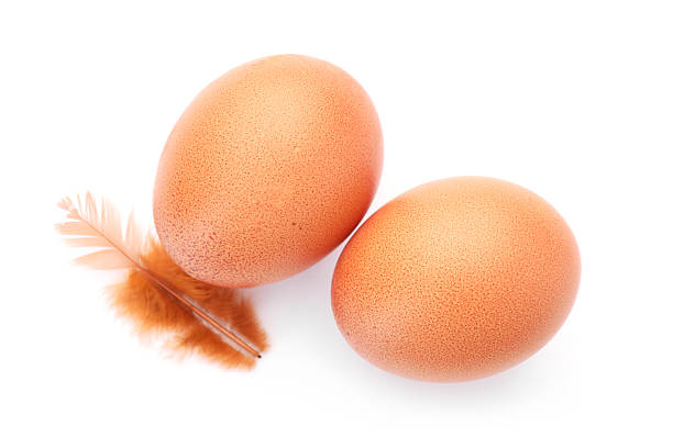 istock Raw chicken eggs and feather isolated on white, top view 2253231696