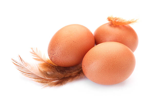 istock Raw chicken eggs and feathers isolated on white 2253231711