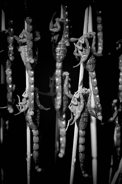 During the summer nights there are big and fierce scorpions.