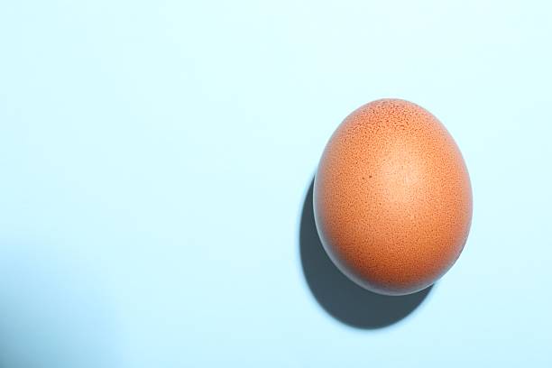 istock One brown chicken egg on light blue background, above view. Space for text 2253238823