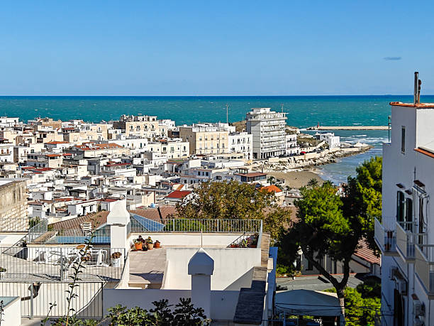 istock Vieste, Apulia. Italy 2253239448