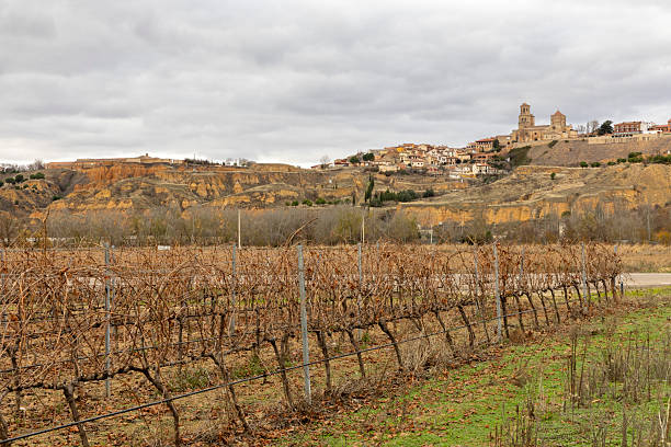Vineyards in Laguardia. Vineyards and lagoon with Laguardia in the background, Alava, Euskadi