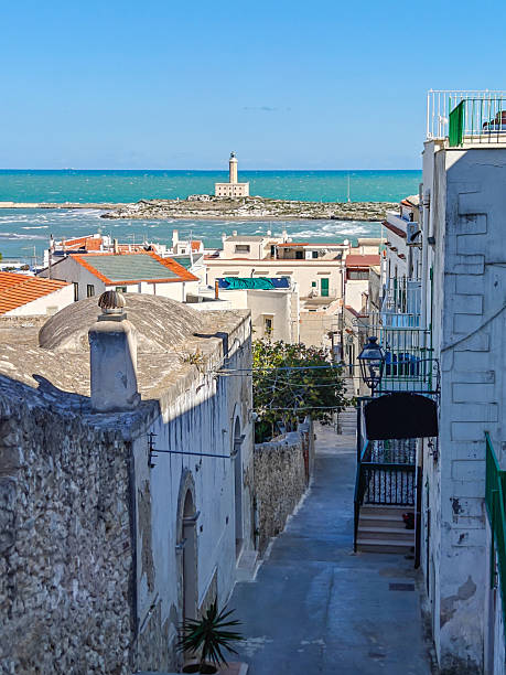 istock Vieste, Apulia. Italy 2253239557