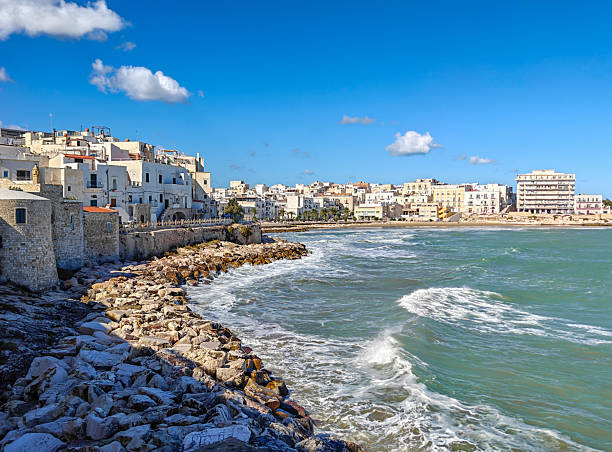 istock Vieste, Apulia. Italy 2253239558