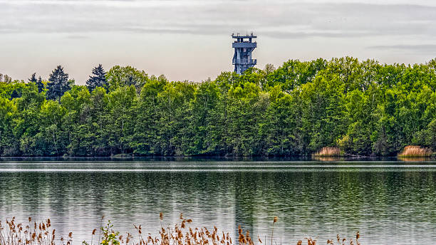 Zilvermeer lake with an observation tower SAS4 rising above a green forest under a cloudy sky