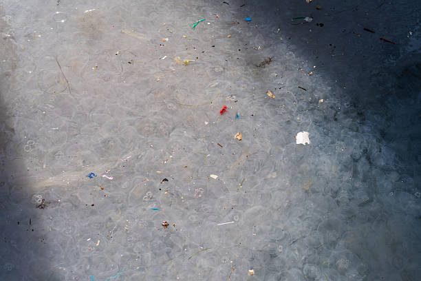 istock Jellyfish bloom in polluted ocean water with marine debris 2253241403