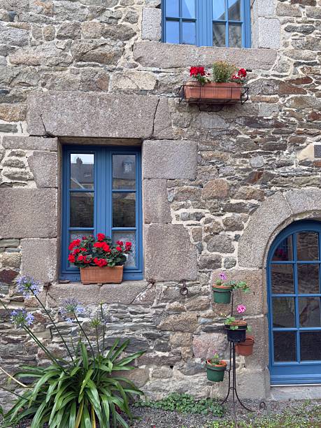 Vertical photo of a section of the front wall of a medieval stone house with blue-painted windows and a small garden in Treguier, Brittany