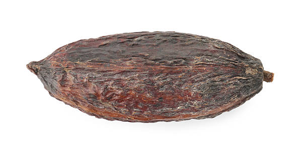 istock Cocoa pod isolated on white, top view 2253244641