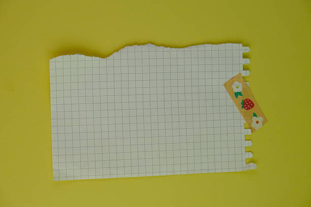 Open blank spiral notebook with black pencil on yellow background. Empty Space for your text. business and education concept