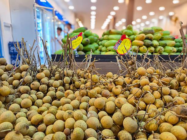 Fresh longan fruits harvest background. Tropical sweet dragon eye fruit with brown shell in local market