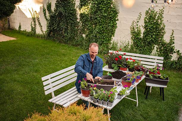istock Man potting flowers in backyard garden 2253250160