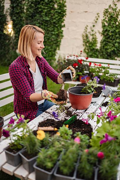 istock Woman smiling while repotting flowers in backyard garden 2253250178