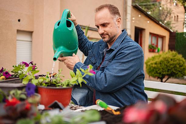 istock Man watering plants on backyard patio 2253250216
