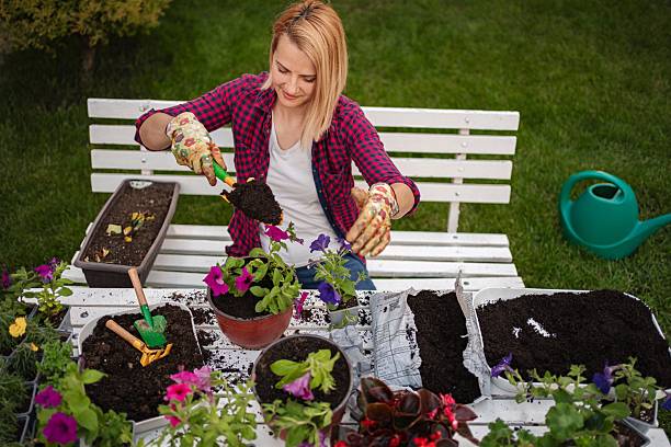 istock Woman potting flowers in garden while working on hobby 2253250286
