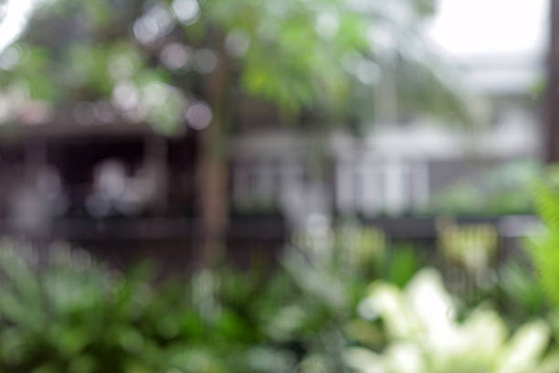 Blurred Background of Plants and Building. Defocus