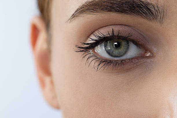Close up of a green eye with long eyelashes and natural makeup, showing healthy skin and clean beauty concept on white background.