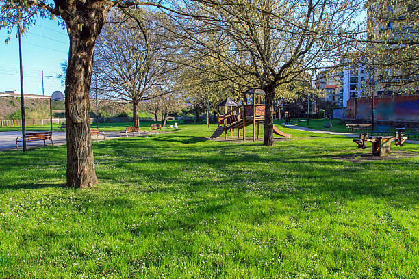Sunny city park scene with lush green grass, tall trees, empty benches, playground, basketball hoop, and paths. Peaceful urban outdoor space for recreation, relaxation, and family activities.