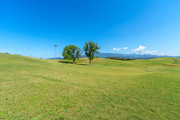 City park lawn