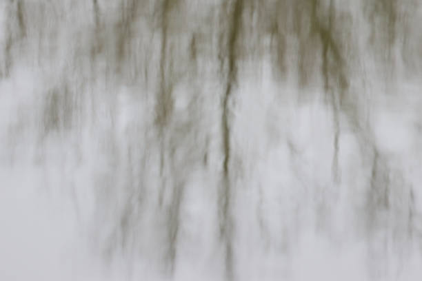 istock Trees reflected in the pond, black-gray water surface with reflected branches, twigs reflected in the water, grey lines in the lake, gentle waves, gray-brown colors on the lake 2253261777