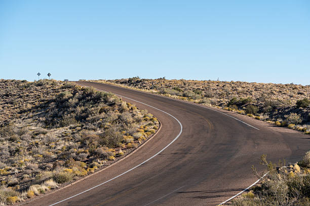 A long, curvy road with a few trees in the background. The road is empty and there are no cars on it
