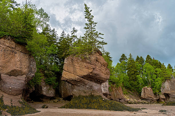 The Hopewell Rocks, commonly called the Flowerpots Rocks  are rock formations caused by tidal erosion in The Hopewell Rocks Ocean Tidal Exploration Site in New Brunswick, Canada.
