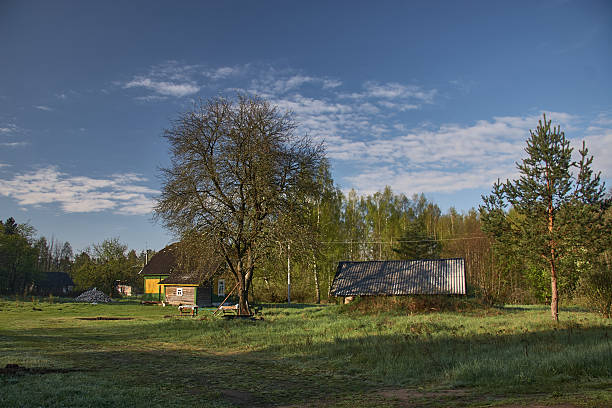 Quiet rural homestead in early spring morning with green grass, wooden houses, trees and clear blue sky. Peaceful countryside landscape with natural light and calm atmosphere, suitable for rural life, nature, lifestyle and environmental concepts.