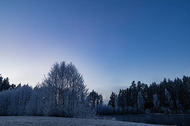 A serene winter landscape featuring frost-covered trees along the edge of a calm river, set beneath a vast gradient sky shifting from pale light to deep blue. The scene captures the quiet transition between night and morning, emphasizing stillness, cold air, and the subtle beauty of a Nordic winter environment.
