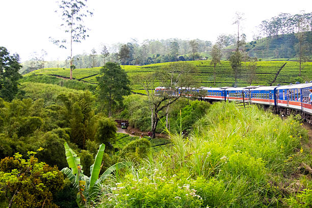 istock Train moving accross the tea garden 2253273970