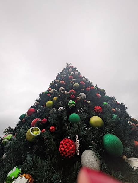 istock Low angle shot of giant Christmas tree 2253279784