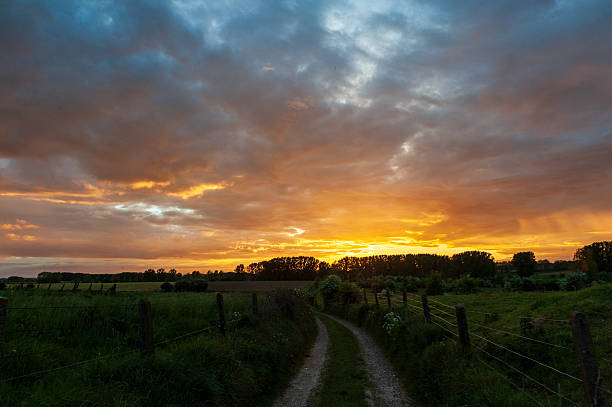 istock Nature in East Flanders 2253279786