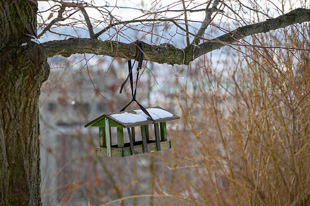 A wooden bird feeder covered in snow hangs from a tree branch.
