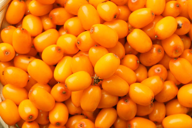 istock Fresh sea buckthorn berries as background, top view 2253281174