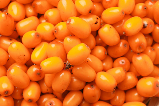 istock Fresh sea buckthorn berries as background, top view 2253281647