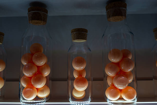 Glass bottles filled with orange spheres sealed with corks, artisan preserve display on pantry shelf,