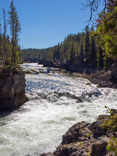 istock Sparkling Yellowstone River Rapids and Forest 2253281779