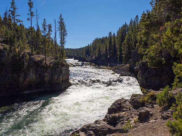 The Lewis River in Yellowstone National Park, Wyoming, flows for about 18 miles, originating from Shoshone Lake and passing through the picturesque Lewis Canyon before joining the Snake River. It was named after explorer Meriwether Lewis of the Lewis and Clark Expedition.