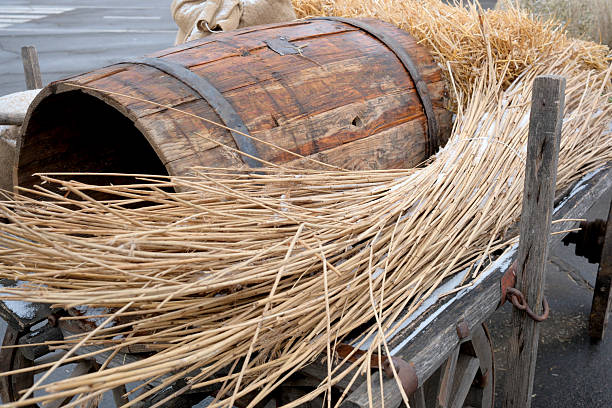 Carriage in a farm in autumn