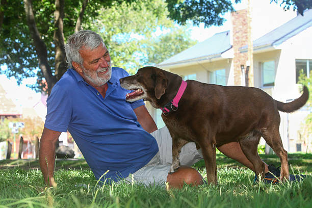 istock Senior man with dog outside. 2253282883
