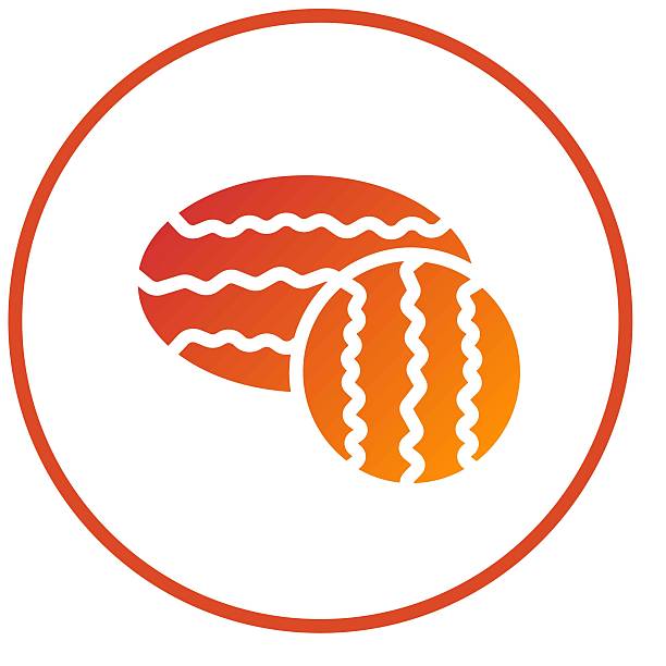 Vector Design Watermelon Icon Style
