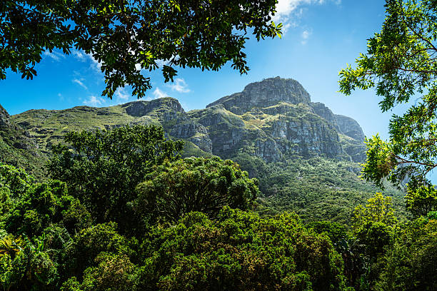 istock Cape Town Mountains From Lions Head View 2253283313