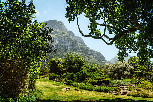 istock Scenic Garden With Mountain Backdrop In Cape Town 2253283403
