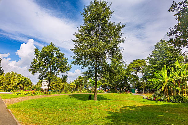 istock Moorish Park of Arcachon's Winter Town 2253290527
