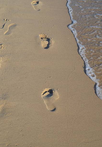Footprints in the sand on the beach - Baltic Sea, Poland