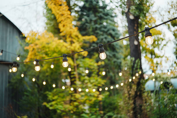 istock Outdoor string lights glowing in a natural setting with autumn foliage and trees. 2253293389