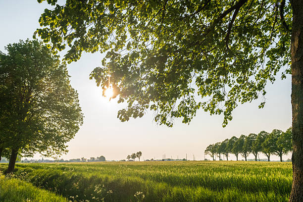 istock Nature in East Flanders 2253294369