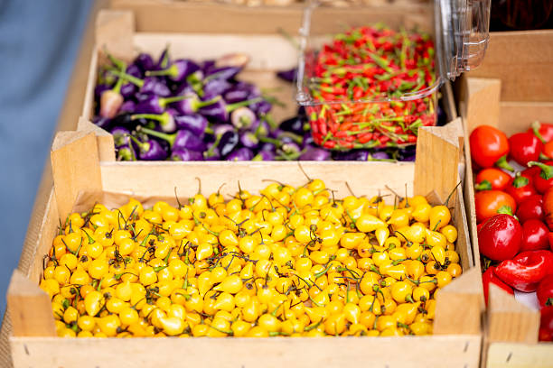 Lisbon Portugal December 06 2025. Small peppers and chili varieties are displayed in wooden boxes at a street market stall in Bairro Alto.